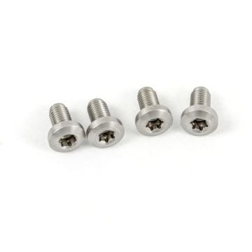 1911 Grip Screws - Torx, Stainless (4)