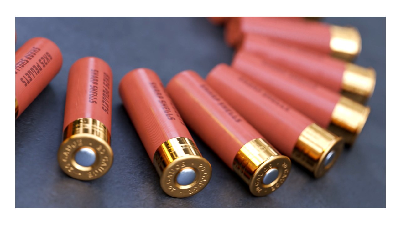 Unpacking the Blast: A Comprehensive Guide to Different Types of Shotgun Shell Loads
